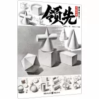 音像几何形体王鹏飞
