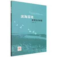 音像滨海湿地景观生态修复李相逸|责编:瑞//辛海丽