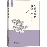 音像中国古代的游侠王齐