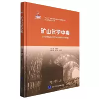 音像矿山化学中毒(出版项目七)闫立成