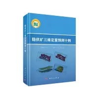 音像隐伏矿三维定量预测十例陈建平 等