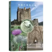 音像苏格兰高地之魂张志雄