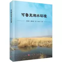 音像可鲁克湖水环境(精)王圣瑞//翟永洪//吴越