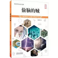 音像偷脑的贼 大字版潘家铮
