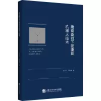 音像柔索牵引下肢康复机器人技术王克义,王砚麟