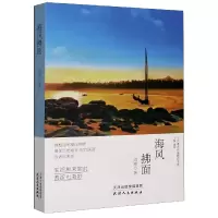 音像海风拂面/当代著名作家精品书系高寒|责编:岳勇|总主编:凌翔