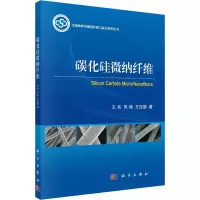 音像碳化硅微纳纤维王兵,吴楠,王应德