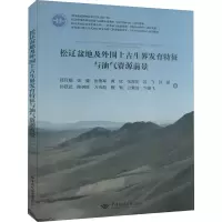 音像松辽盆地及外围上古生界发育特征与油气资源前景郑月娟 等