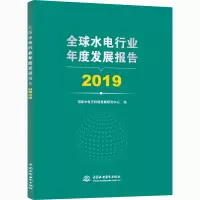 音像全球水电行业年度发展报告 2019水电可持续发展研究中心 编
