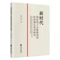 音像新时代国民收入分配格局的经济增长效应研究韩心灵