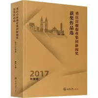 音像重庆日报报业集团新闻奖获奖作品选 2017年度卷管洪