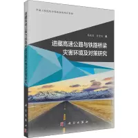 音像进藏高速公路与铁路桥梁灾害环境及对策研究周建庭,任青阳