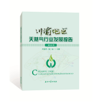 音像川渝地区天然气行业发展报告(2020年)何润民