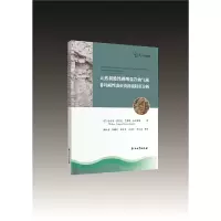 音像天然裂缝碳酸盐岩油气藏非均质表征及渗流特征分析陈怀龙等译