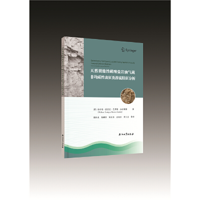 音像天然裂缝碳酸盐岩油气藏非均质表征及渗流特征分析陈怀龙等译