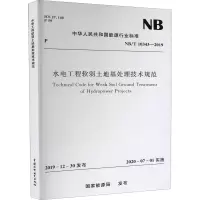 音像水电工程软弱土地基处理技术规范 NB/T 10343-2019能源局