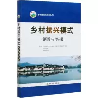 音像乡村振兴模式创新与实操/乡村振兴系列丛书