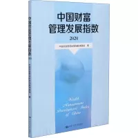 音像中国财富管理发展指数 2020中国财富管理发展指数课题组