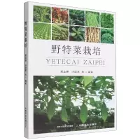 音像野特菜栽培赖正锋,洪建基 等
