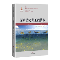 音像深水钻完井工程技术(精)/海洋深水油气田开发工程技术丛书