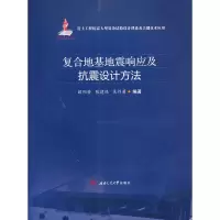音像复合地基地震响应及抗震设计方法欧阳芳 张建经 吴祚菊