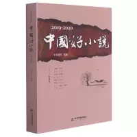 音像2019-2020中国好小说(中篇卷)编者:小说选刊|责编:成晓春