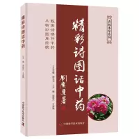 音像精彩诗图话周超凡,王崇焕 编