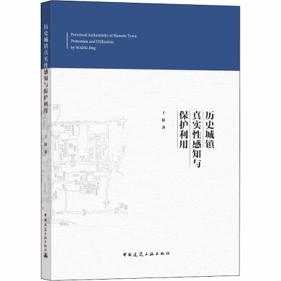 音像历史城镇真实知与保护利用王婧