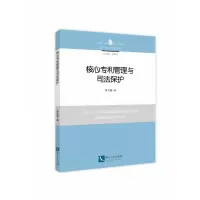 音像核心专利管理与司法保护罗立国