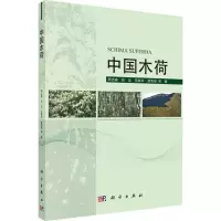 音像中国木荷周志春 等