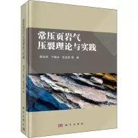 音像常压页岩气压裂理论与实践蒋廷学 等