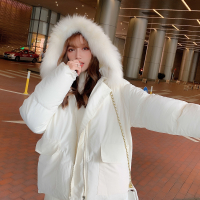 尤柯鸟(yoekbird) 新春优惠时尚韩潮 棉衣小棉袄面包服韩版潮ins超火宽松棉服女冬