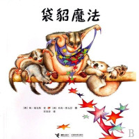 [二手8成新]袋貂魔法 9787544809030