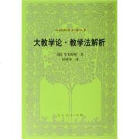 [二手8成新]大教学论·教学法解析 9787107194696