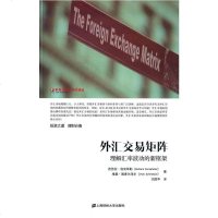 [二手8成新]外汇交易矩阵 9787564219888