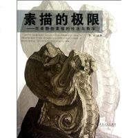 [二手8成新]素描的极限 9787539836591