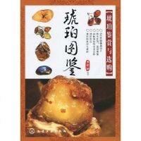 [二手8成新]琥珀图鉴 9787122077042