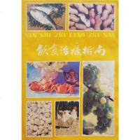 【二手8成新】饮食治疗指南 9787534536878