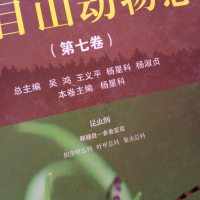 [二手8成新]天目山动物志(第七) 9787308188043