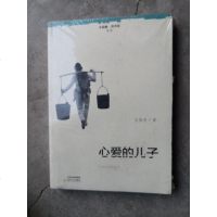 [二手8成新]心爱的儿子/小说眼看国丛书 9787537848213