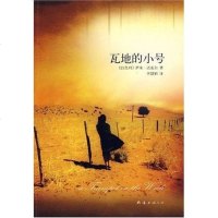 [二手8成新]瓦地的小号 9787544240338