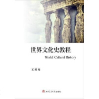 [二手8成新]世界文化史教程 9787564345099