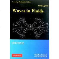 [二手8成新]流体的波 9787510032912