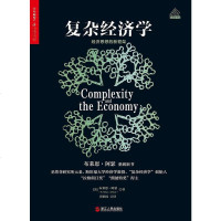 [二手8成新]复杂经济学 9787213086458
