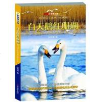 [二手8成新]白天鹅红珊瑚:影像青少版 9787551410502