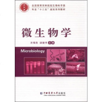 [二手8成新]微生物学 9787565513008
