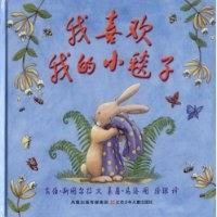 [二手8成新]我喜欢我的小毯子 9787534646171