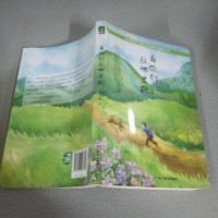 [二手8成新]看你们往哪里跑 9787556028702