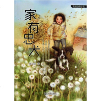 [二手8成新]家有忠犬 9787550505230