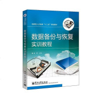 [二手8成新]数据备份与恢复实训教程 9787121239885